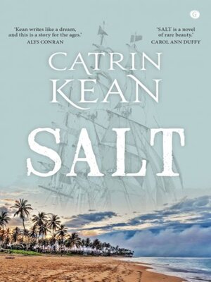 cover image of Salt